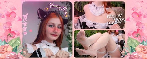 Header of flaymeyfox