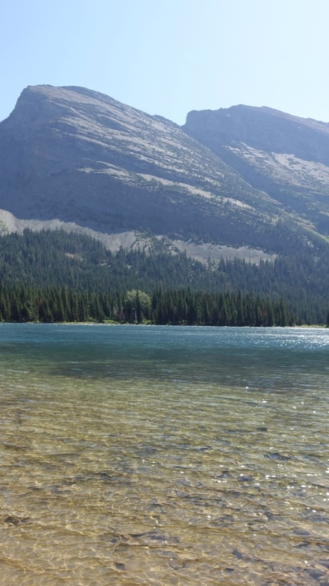 Header of flormaravillosa