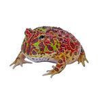 Onlyfans leaks froggo123 

 profile picture