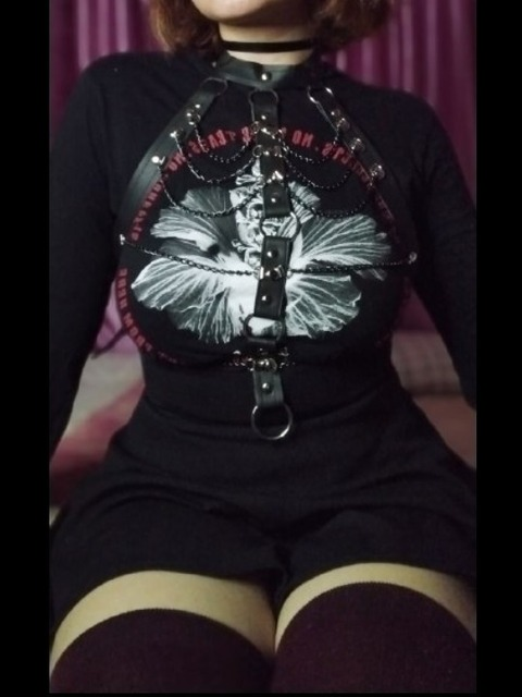 Header of gatitocosmicoo