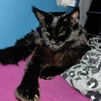 goodvibes.only OnlyFans Leaked Photos and Videos 

 profile picture