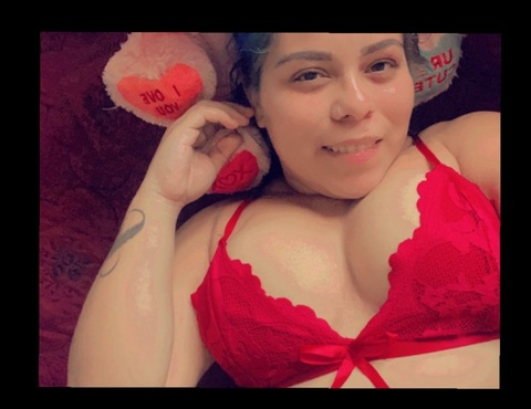 Header of gorditarica502