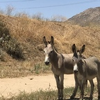 greatasspics OnlyFans Leak 

 profile picture