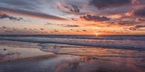 Header of haileyraee