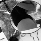 hannah_zoe_lee (Hannah Lee) OnlyFans Leaked Pictures and Videos 

 profile picture