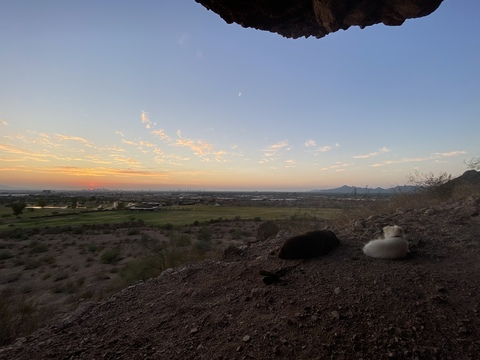 Header of hazeyhazel