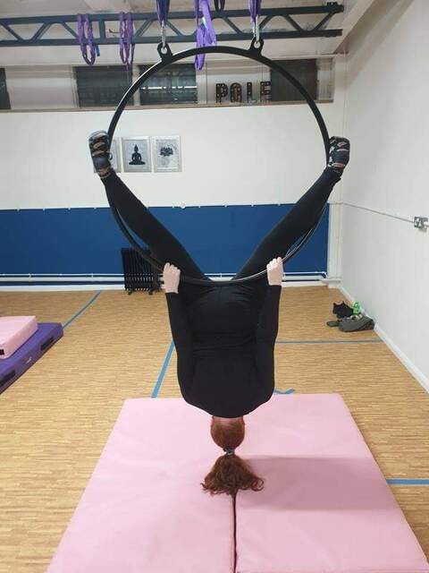 Header of hiddenwonders9495