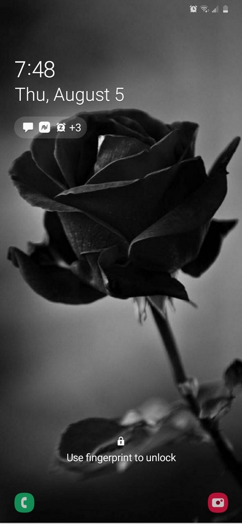 Header of hkushbabe97