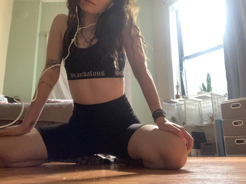 Header of hollyhoney