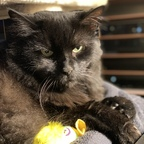 Download honolulu OnlyFans leaks for free 

 profile picture