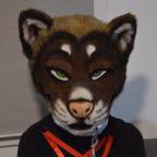 horneddomi (Domi) OnlyFans content 

 profile picture