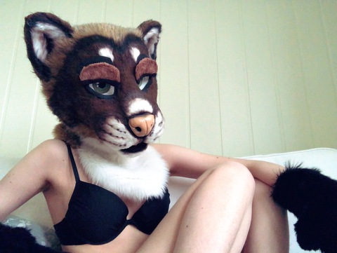 Header of horneddomi