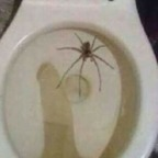 Onlyfans leaked hot-n-heavy 

 profile picture