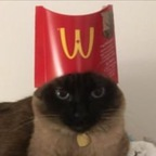 Download human0n3arth OnlyFans leaks for free 

 profile picture