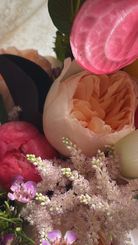 Header of iamcotty