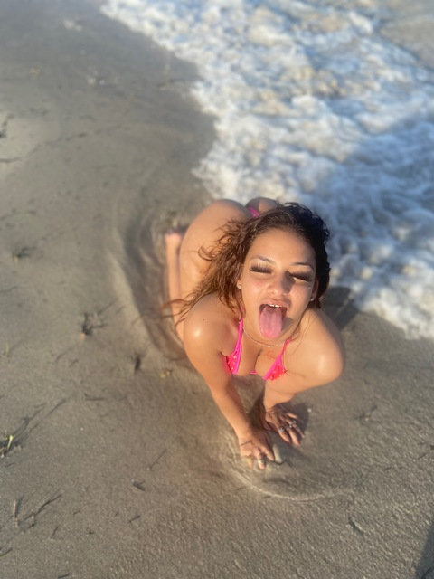 Header of icceicebaby