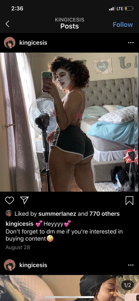 Header of icesis.luv