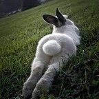 imrichbunny (Coniglietta༄) OnlyFans Leaked Pictures and Videos 

 profile picture