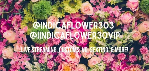Header of indicaflower303vip