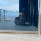 islanddvip OnlyFans Leaks 

 profile picture