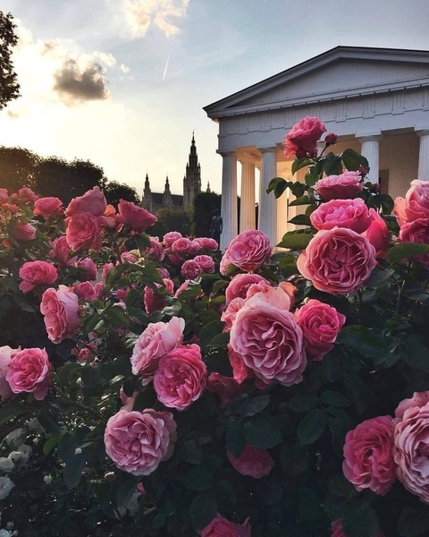 Header of itsmiiyabii