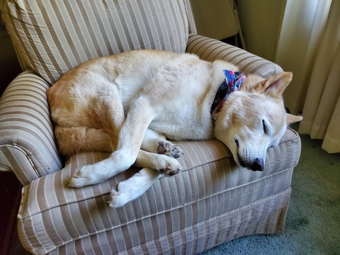 Header of jadedragon5233