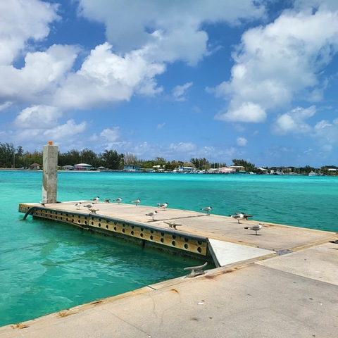 Header of james77duran