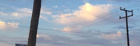 Header of javunkatres