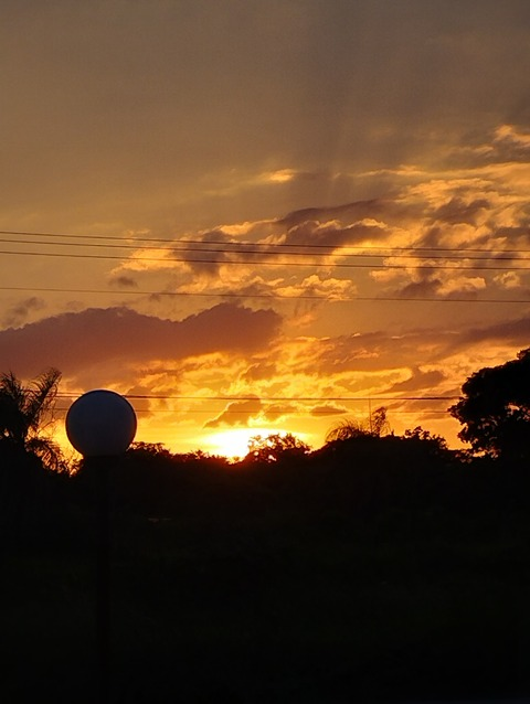 Header of josepizarro2023