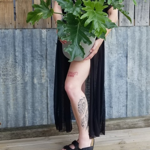 Header of julslikes.water