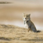 Free access to (justpuns) Leak OnlyFans 

 profile picture