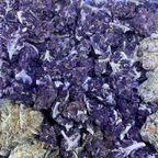 Download k1963 OnlyFans videos and photos for free 

 profile picture