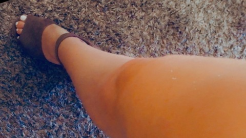 Header of katmonstera