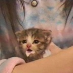 Download keniajose OnlyFans videos and photos for free 

 profile picture