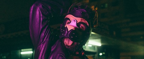 Header of kinky_chaser