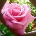 kitkatcosplay OnlyFans Leaked 

 profile picture