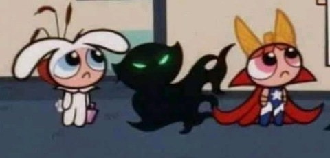 Header of koi.kinkv2