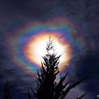 Onlyfans leaked krustie 

 profile picture