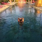 Lady Marmalade @ladymarmalaid Leaked OnlyFans 

 profile picture