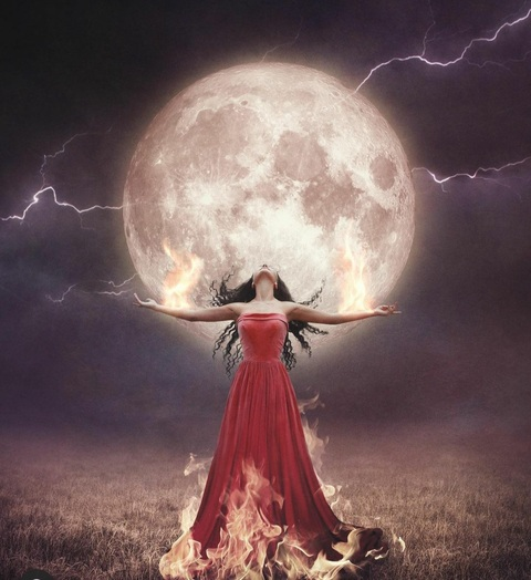 Header of lala100percent