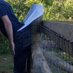 Download left2hang OnlyFans content for free 

 profile picture