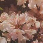 Onlyfans leaks leoooon213 

 profile picture