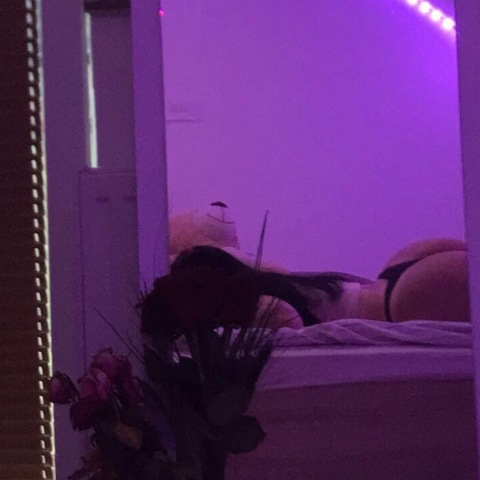 Header of lesjak.larisa