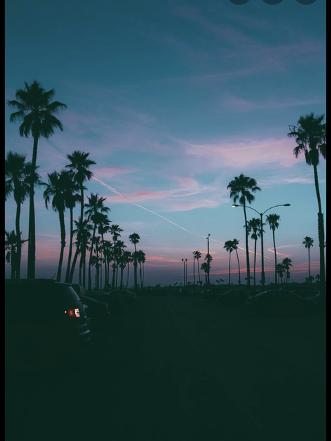 Header of letty_sinaloa