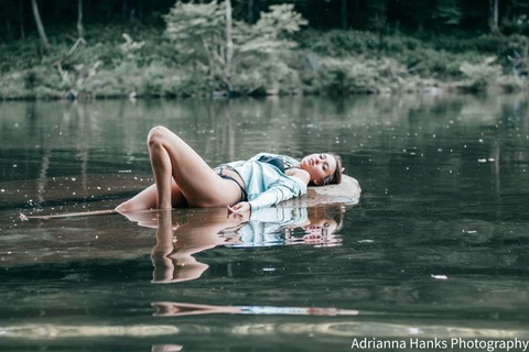 Header of likethedesert