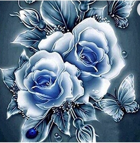 Header of lil_kitten2022