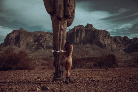 Header of lilmswanderer