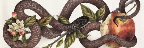 Header of liltemptationn