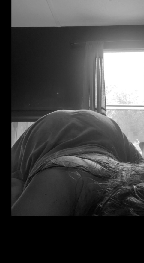 Header of lilykatesewell