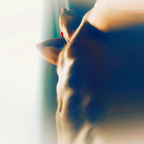 Daddy Logan Iorworth @logan-iorworth Leaked OnlyFans 

 profile picture